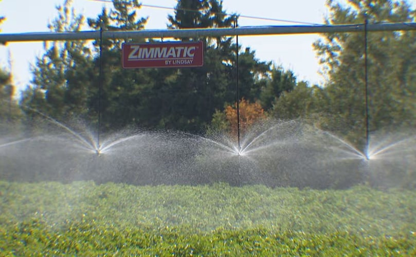 Irrigation on potato field Irrigation on potato field