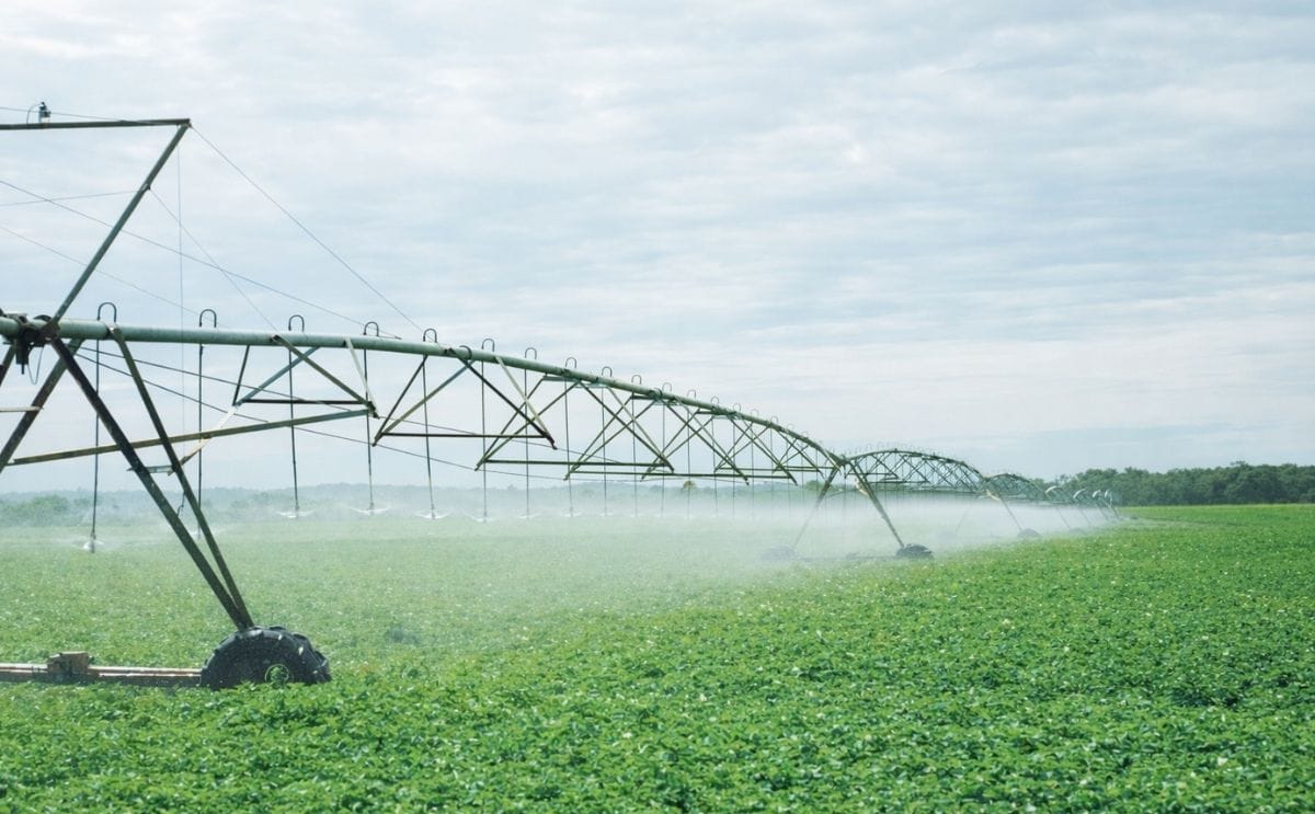 With so many areas of Australia relying on bore water, this study on the impact of chemical composition of the soil and the plants depending on water quality could provide the basis for an increased awareness of water and soil management over time.