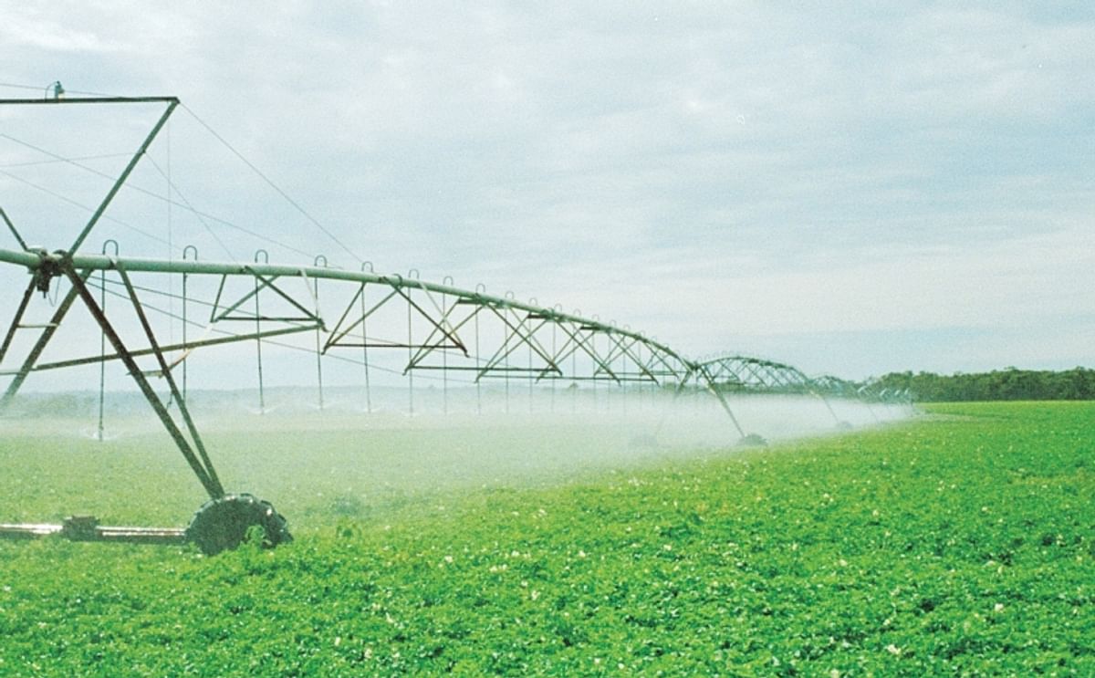 With so many areas of Australia relying on bore water, this study on the impact of chemical composition of the soil and the plants depending on water quality could provide the basis for an increased awareness of water and soil management over time.