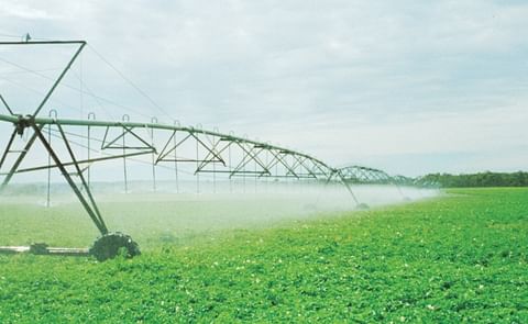 With so many areas of Australia relying on bore water, this study on the impact of chemical composition of the soil and the plants depending on water quality could provide the basis for an increased awareness of water and soil management over time. With so many areas of Australia relying on bore water, this study on the impact of chemical composition of the soil and the plants depending on water quality could provide the basis for an increased awareness of water and soil management over time.