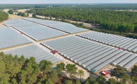 Castilla y León apuesta por la sostenibilidad hídrica para mantener su posición como principal región productora de patata en España. Castilla y León apuesta por la sostenibilidad hídrica para mantener su posición como principal región productora de patata en España.