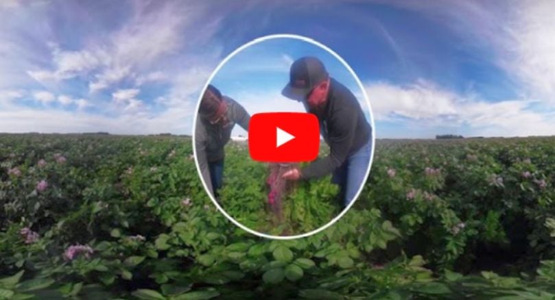 From Farm to Home: The Journey of Side Delights Potatoes.