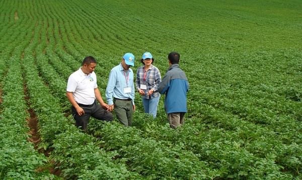 Mongolia fully self-sufficient for wheat and potato, says agriculture minister