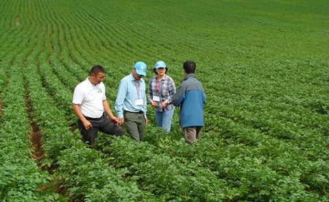 Mongolia fully self-sufficient for wheat and potato, says agriculture minister
Mongolia fully self-sufficient for wheat and potato, says agriculture minister