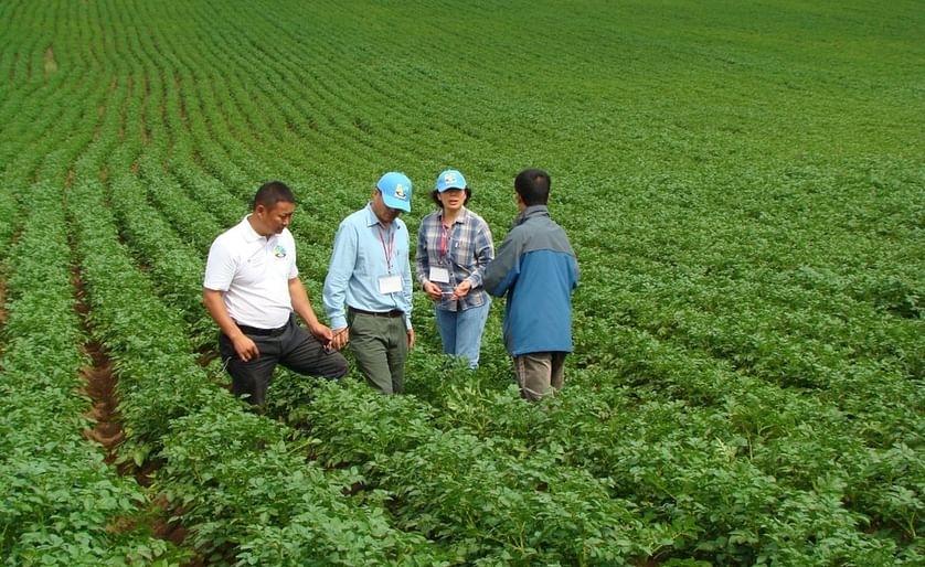 Mongolia fully self-sufficient for wheat and potato, says agriculture minister
