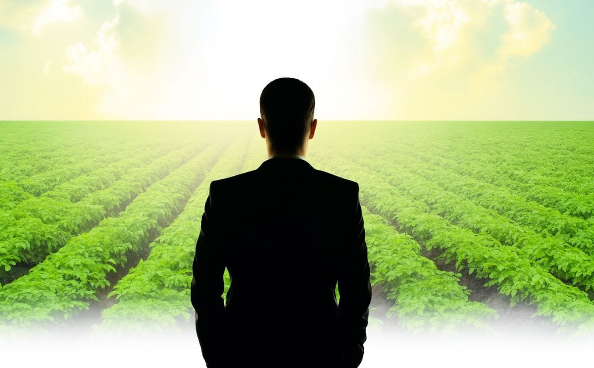 Who will be the next "Potato Man of the Year" (or woman we assume)