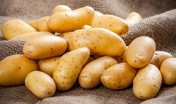 Pakistan has become the main supplier of potatoes to the Uzbek market