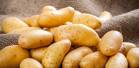 Pakistan has become the main supplier of potatoes to the Uzbek market