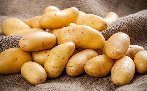 Potato Market