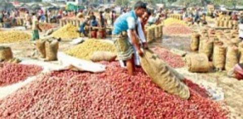 Protests and transport blockades in Bangladesh disastrous for potato farmers