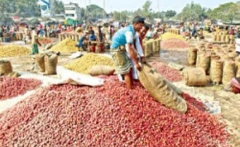 Protests and transport blockades in Bangladesh disastrous for potato farmers Protests and transport blockades in Bangladesh disastrous for potato farmers