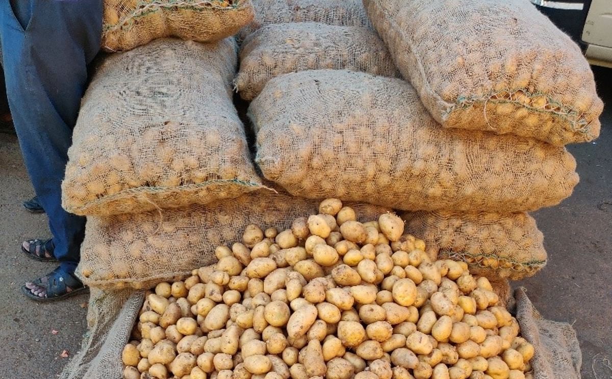Potato Market in India