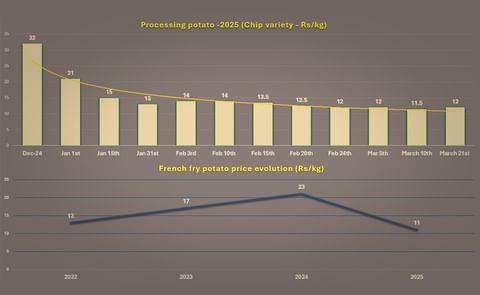 Price Trends and Market Dynamics of Processing Potato Varieties in India (2024) Price Trends and Market Dynamics of Processing Potato Varieties in India (2024)