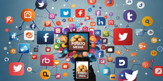 Potato Media Potato Media