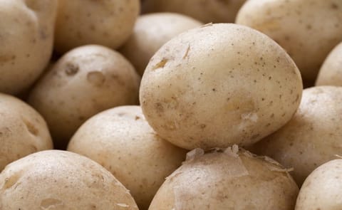 Higher potato prices are reported in various states of India (Punjab, West-Bengal), offering relief (Punjab) or even a windfall (West-Bengal) for farmers. Higher potato prices are reported in various states of India (Punjab, West-Bengal), offering relief (Punjab) or even a windfall (West-Bengal) for farmers.