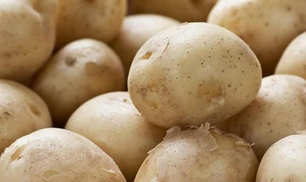 India: Higher Potato Prices reported in Punjab, West-Bengal