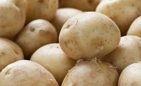 Higher potato prices are reported in various states of India (Punjab, West-Bengal), offering relief (Punjab) or even a windfall (West-Bengal) for farmers. Higher potato prices are reported in various states of India (Punjab, West-Bengal), offering relief (Punjab) or even a windfall (West-Bengal) for farmers.