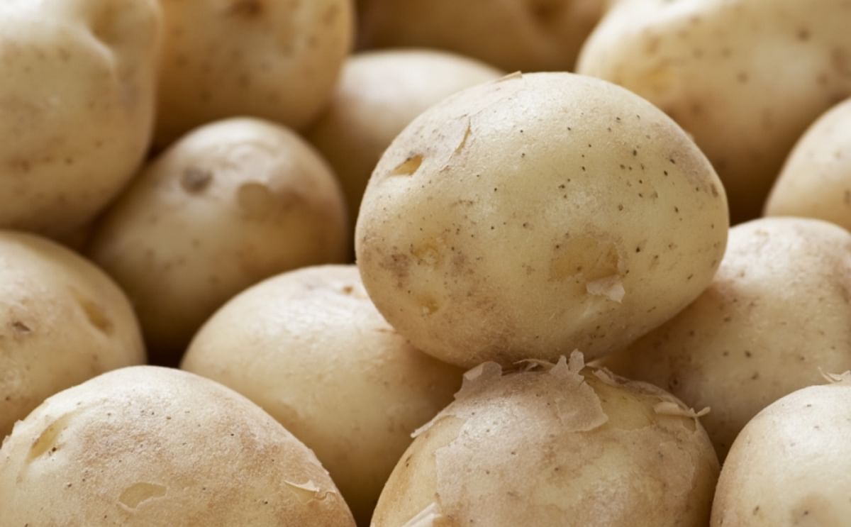 Potato Prices in West Bengal may shoot up 50-65% by April-May Potato Prices in West Bengal may shoot up 50-65% by April-May