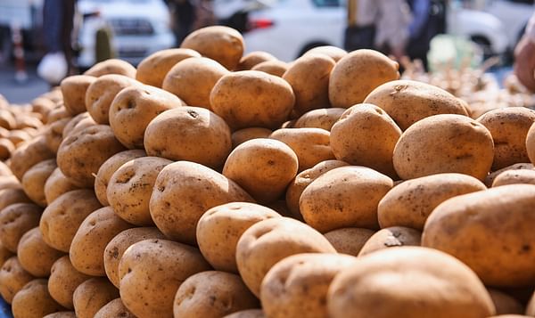 New Potato Research Center to be set up in West Bengal