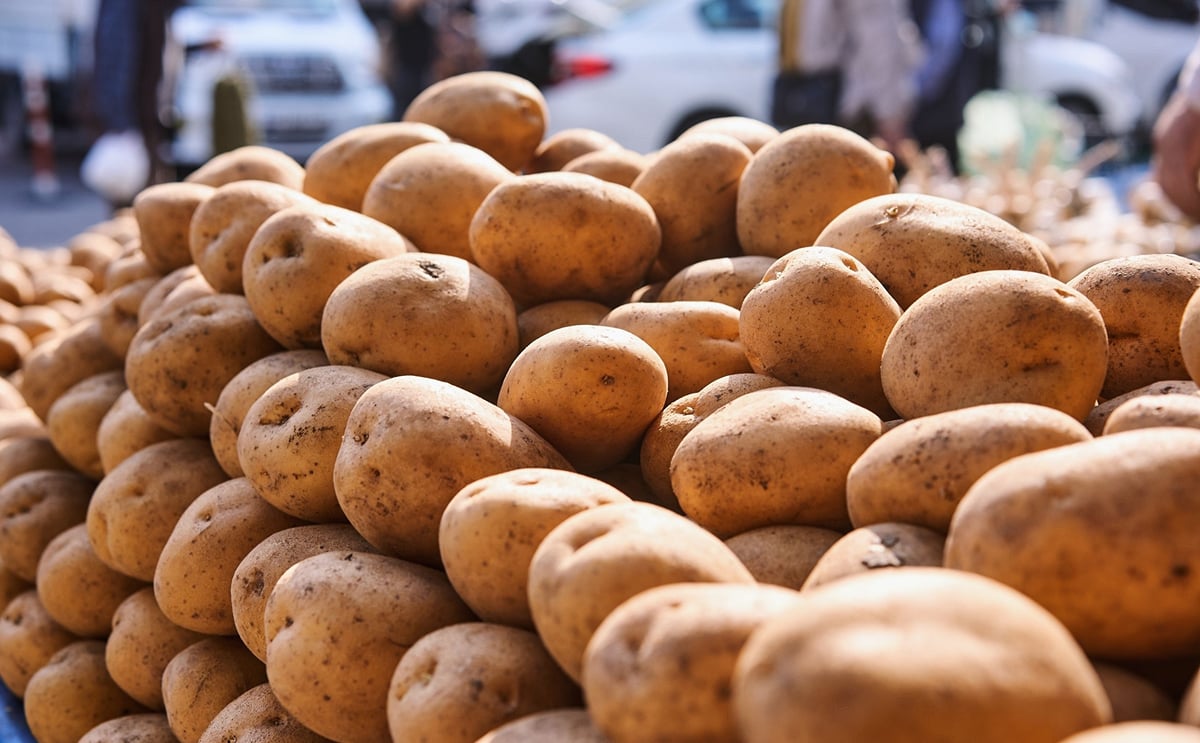 Brasil: mercados afectados por las lluvias y la escasez Brasil: mercados afectados por las lluvias y la escasez