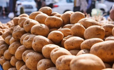 Potatoes in the market Potatoes in the market