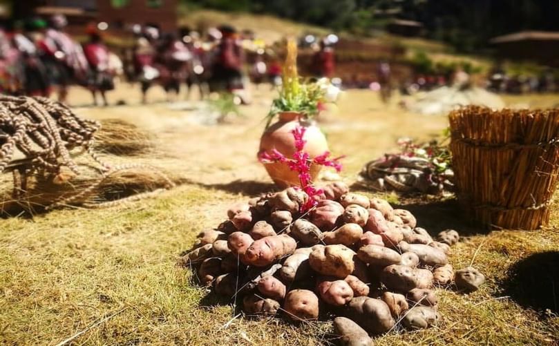 Quechua farmers in traditional attire at the Potato Park, Peru, showcasing conservation practices Quechua farmers in traditional attire at the Potato Park, Peru, showcasing conservation practices