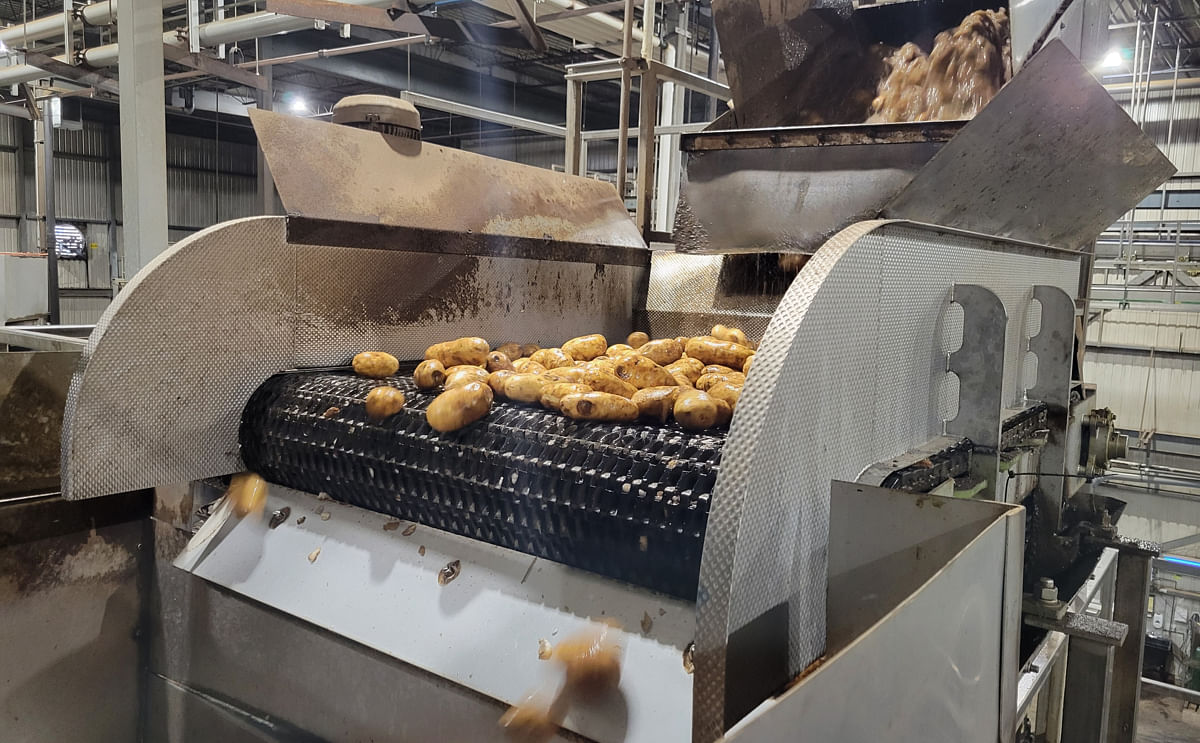 Improving potato dewatering: CMP and Intralox implement solution for raw potato delivery to peeler at Michel St-Arneault