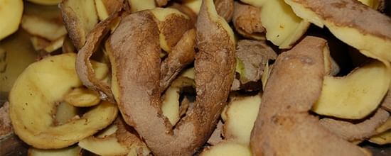 The losses in households are particularly significant, as the potatoes have already gone through the entire production and supply chain. Furthermore, in Switzerland the majority of this type of waste ends up in an incineration plant The losses in households are particularly significant, as the potatoes have already gone through the entire production and supply chain. Furthermore, in Switzerland the majority of this type of waste ends up in an incineration plant