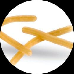 Potato pellets (Square stick)