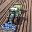Potato Planting