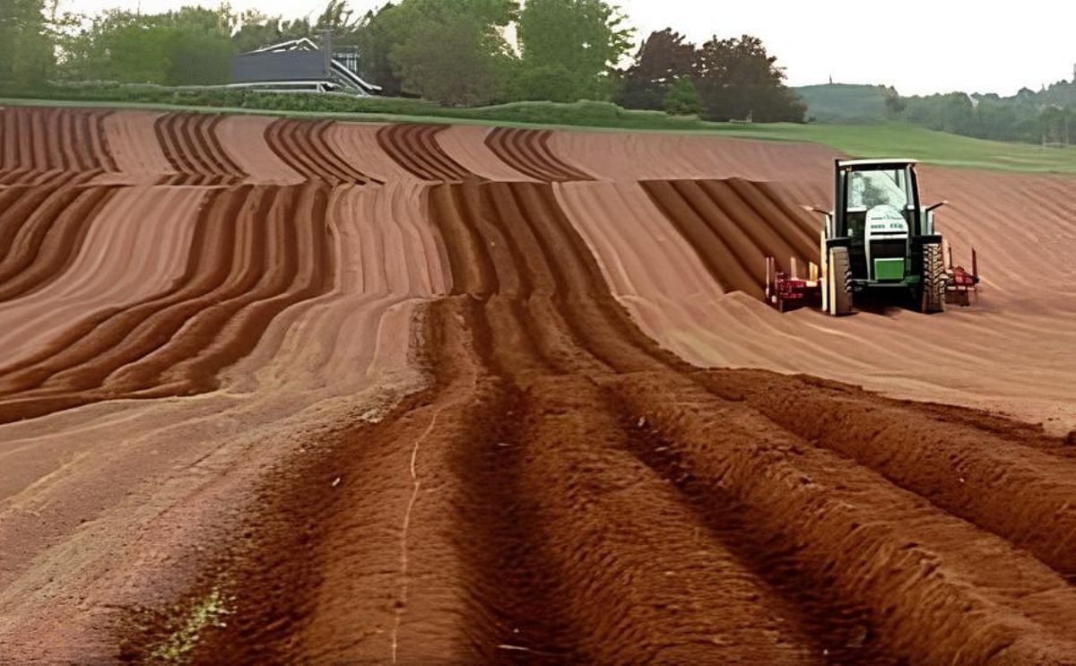 Prince Edward Island Potato growers and McCain Foods reach new contract Prince Edward Island Potato growers and McCain Foods reach new contract