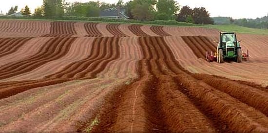 PEI Potato Industry Shocked by McCain Plant closure