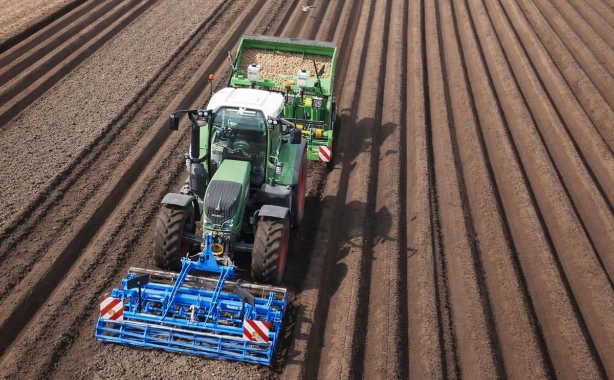 NEPG: Northwest European potato area expected to grow by 3.5-4%