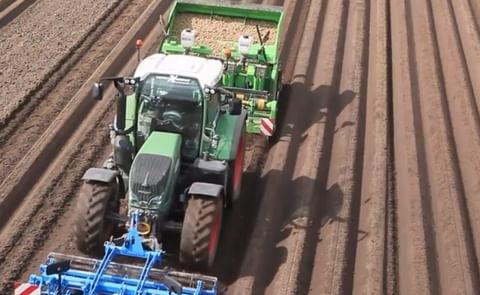 NEPG: Northwest European potato area expected to grow by 3.5-4% NEPG: Northwest European potato area expected to grow by 3.5-4%