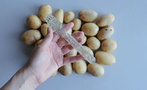 Potato Plastic is a biodegradable material made of potato starch that can be used for cutlery and straws and will decompose just two months after use (Courtesy: James Dyson Foundation) Potato Plastic is a biodegradable material made of potato starch that can be used for cutlery and straws and will decompose just two months after use (Courtesy: James Dyson Foundation)