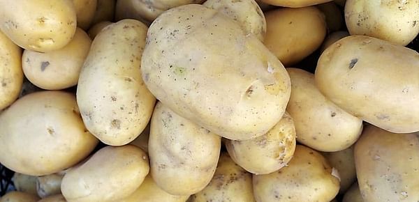 The North-western European Potato growers (NEPG) responds to the price drop of free buy potatoes (non-contracted potatoes)and the negative signal this sends to the growers.