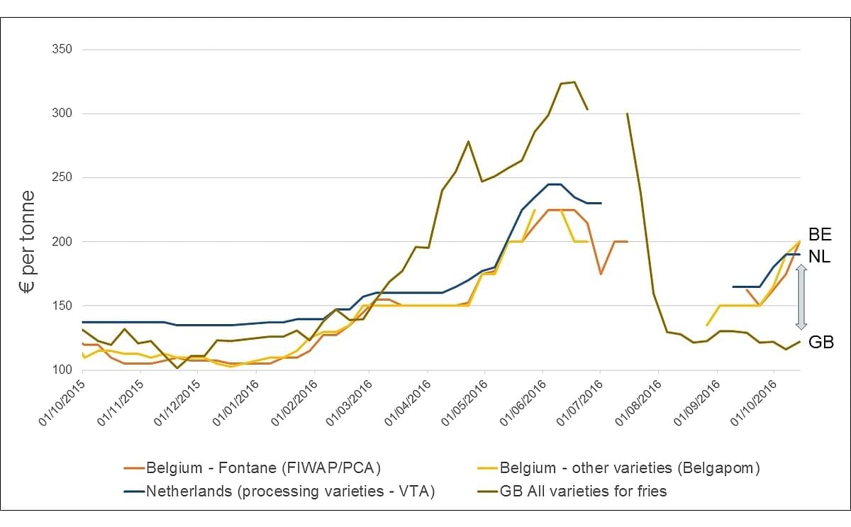 Unusual market dynamics in Northern-European potato trade Unusual market dynamics in Northern-European potato trade