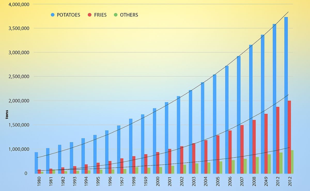 Potato Processing Industry in Belgium continues its growth
