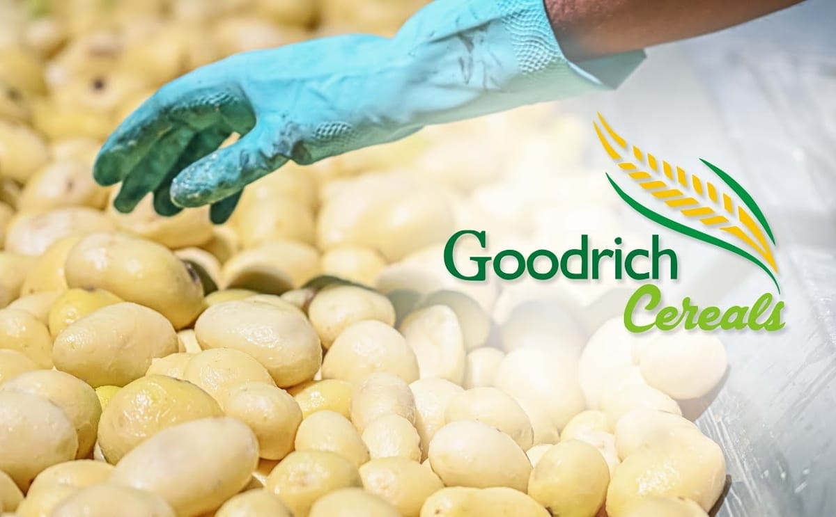 Potato processing is entering a new era, with Goodrich Cereals focusing on reliable sourcing, consistent quality, supply chain resilience, and application-driven innovation to meet evolving global food industry demands. Potato processing is entering a new era, with Goodrich Cereals focusing on reliable sourcing, consistent quality, supply chain resilience, and application-driven innovation to meet evolving global food industry demands.
