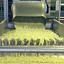 Potato Processing Lines