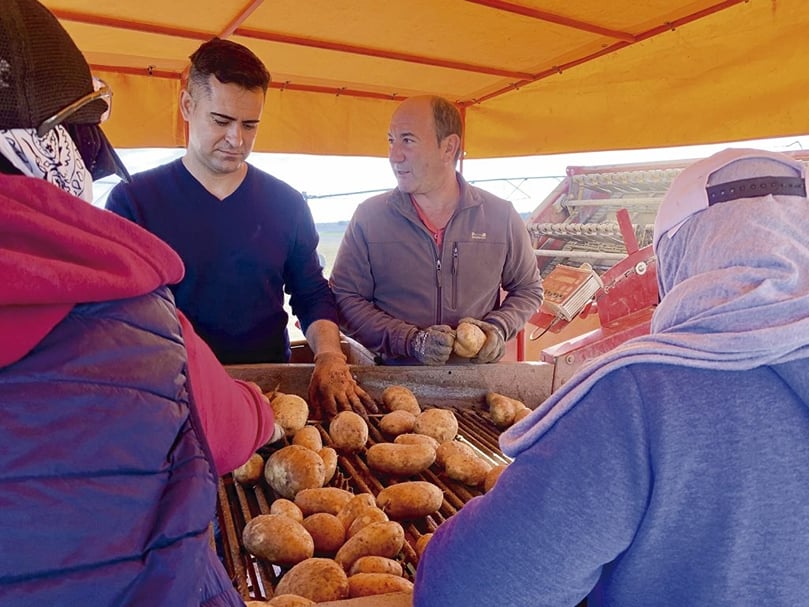 Patata: calidad desde el origen Patata: calidad desde el origen