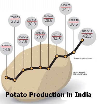 Potato Production in India (in million tonnes). Courtesy The Economic Times/National Horticulture board. Potato Production in India (in million tonnes). Courtesy The Economic Times/National Horticulture board.