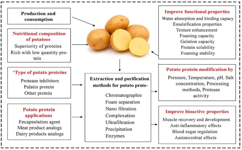 Potato Protein: Composition, Extraction, and Functional Properties Potato Protein: Composition, Extraction and Functional Properties
