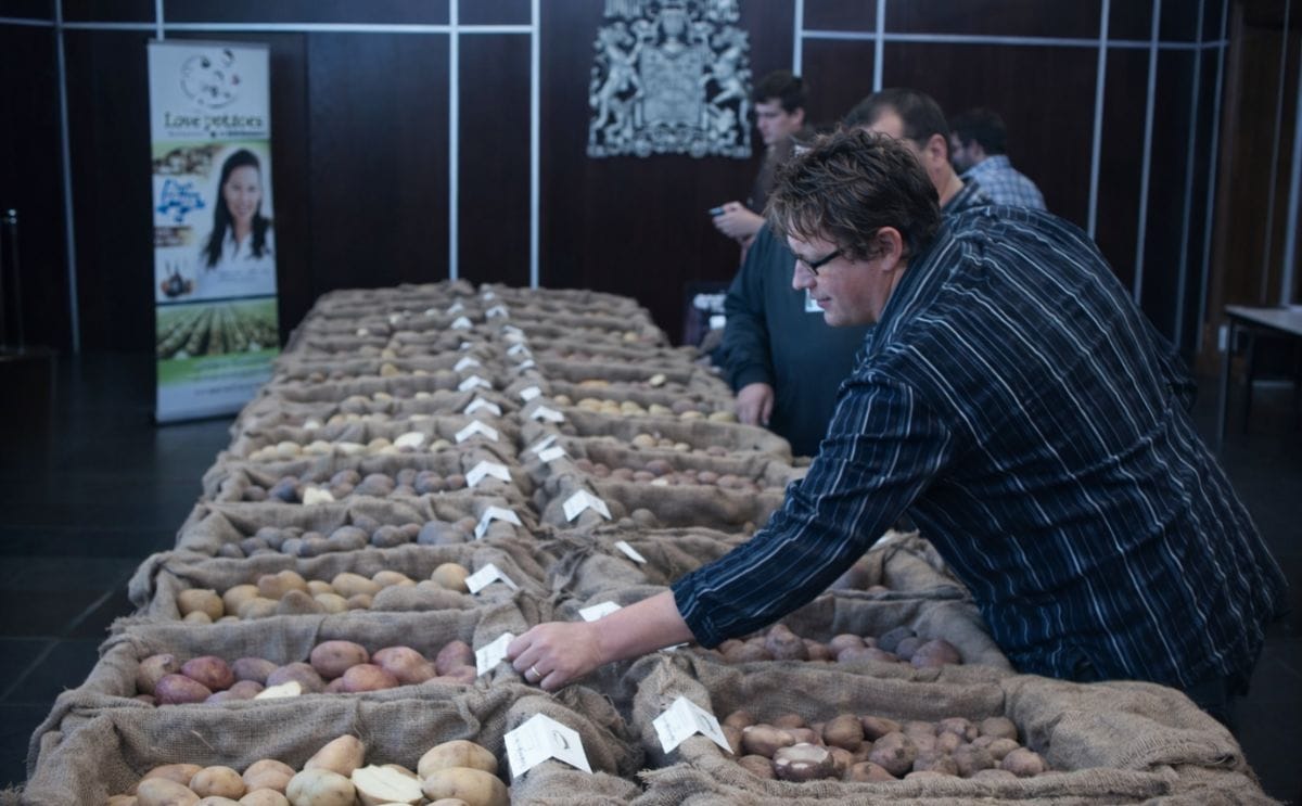 Fredericton Potato Research Centre potato display Fredericton Potato Research Centre potato display