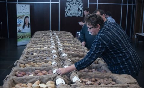 Fredericton Potato Research Centre potato display Fredericton Potato Research Centre potato display