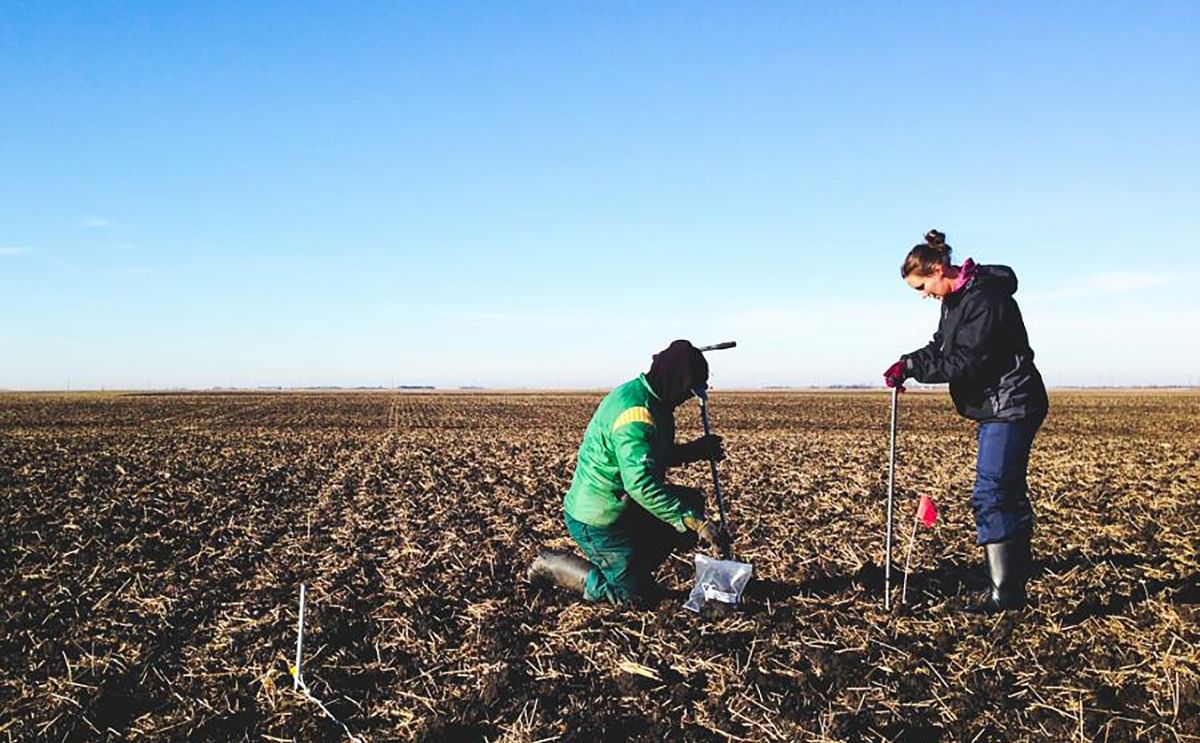 UM will host a new research chair in potato sustainability, which will advance the global potato industry in part through hands-on fieldwork.