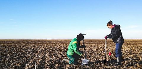 UM will host a new research chair in potato sustainability, which will advance the global potato industry in part through hands-on fieldwork.