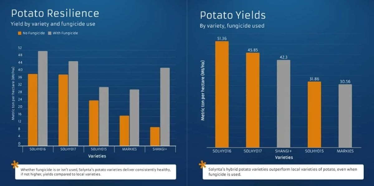 Potato Resilience, Yields statistics Potato Resilience, Yields statistics