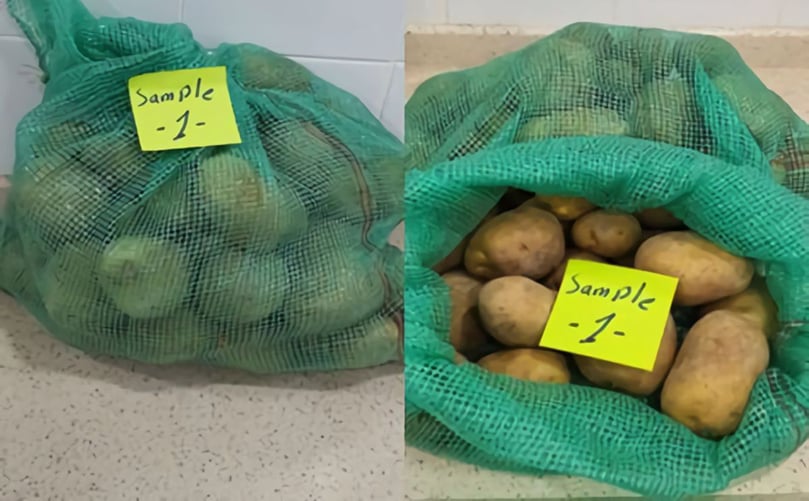 A random sampling of potatoes A random sampling of potatoes