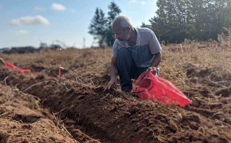 The 814 genetic lines are planted and harvested separately so Fofana can study their resistance to scab and greening. (Courtesy: Shane Hennessey)